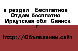  в раздел : Бесплатное » Отдам бесплатно . Иркутская обл.,Саянск г.